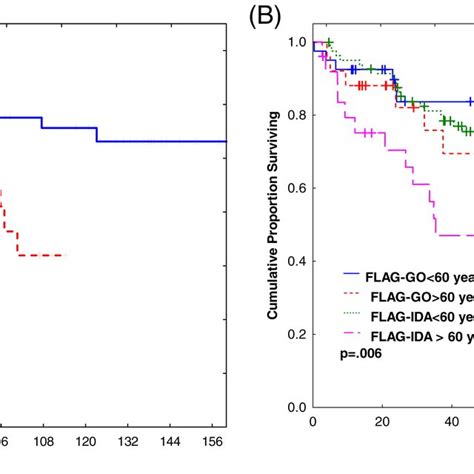 idavip|Hybrid chemotherapy regimen (FLAG